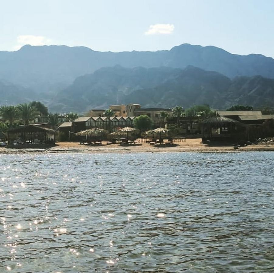 Nuweiba Lodge