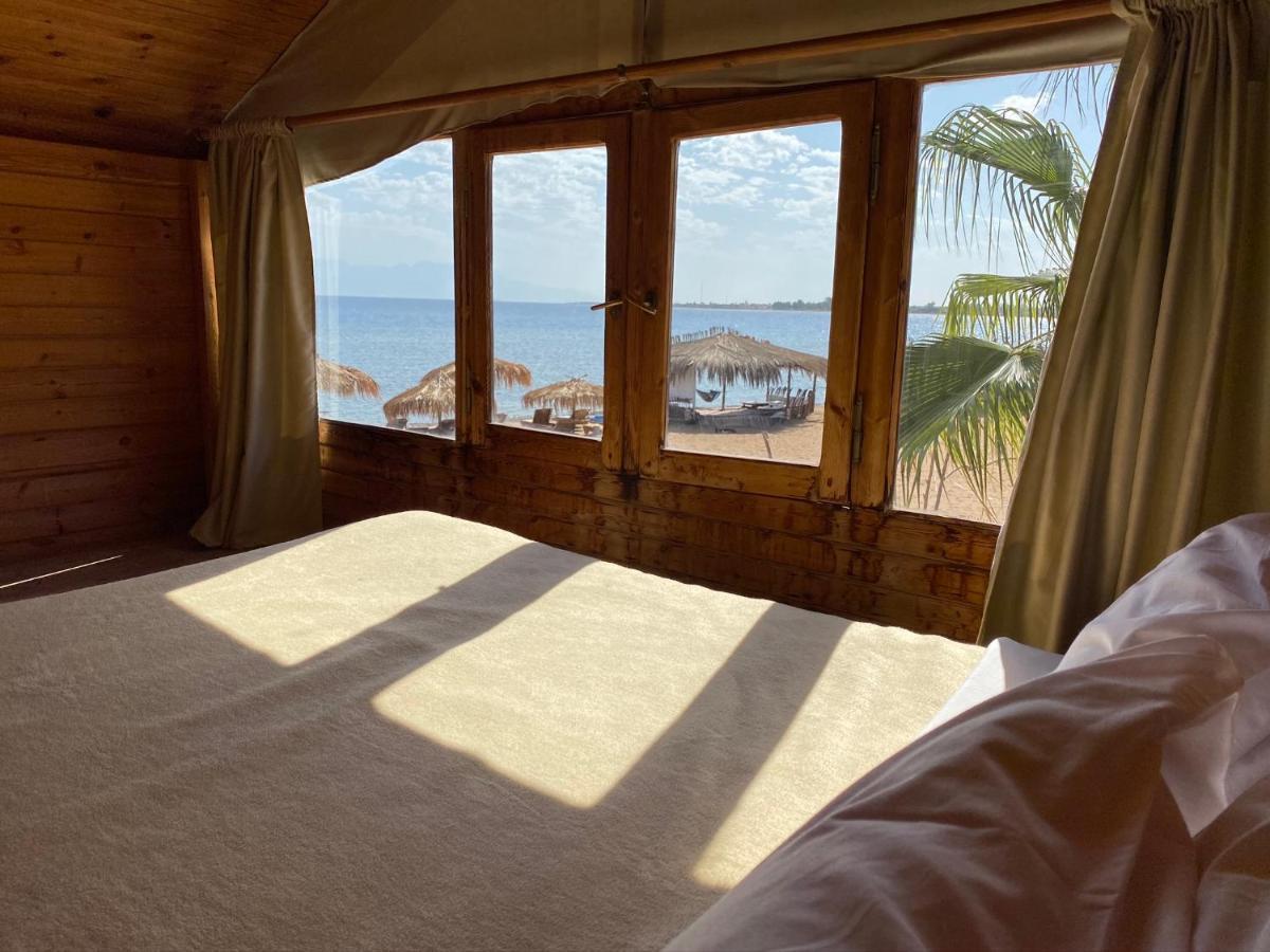 Nuweiba Lodge אכסניה *